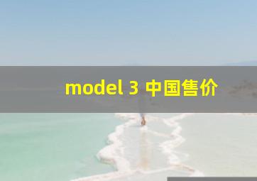 model 3 中国售价